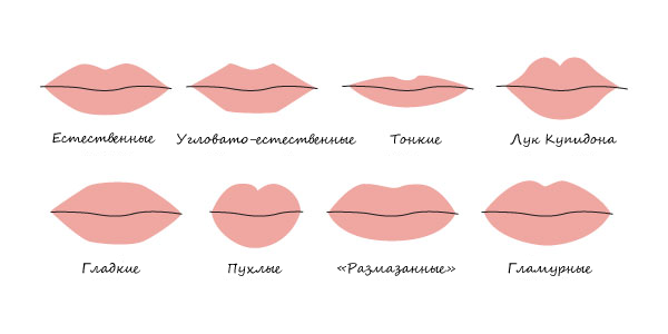 Виды контурной пластики