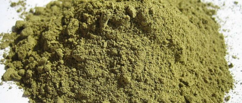 Лучшие рецепты масок из бесцветной хны