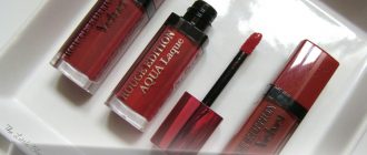 Преимущества и недостатки помады Bourjois rouge edition