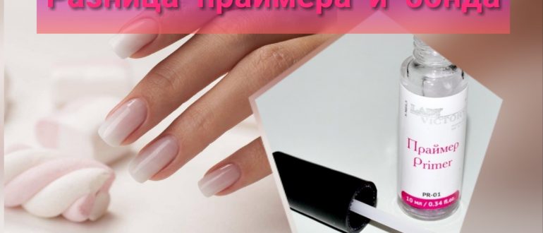 Праймер и бонд – в чём разница?