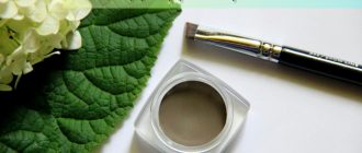 Обзор помады для бровей Никс с отзывами