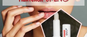 Отзывы о гигиенической помаде Пантенол от Evo