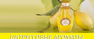 Лучшие цитрусовые ароматы духов для женщин