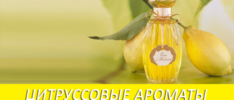 Лучшие цитрусовые ароматы духов для женщин